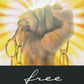 Free From Fear  (Book $12 - 135 Pages)